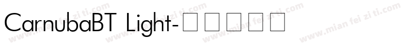 CarnubaBT Light字体转换